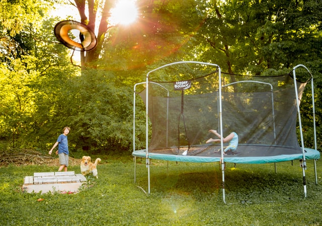 A girl jumps on a trampoline in the yard and a boy plays near with a dog